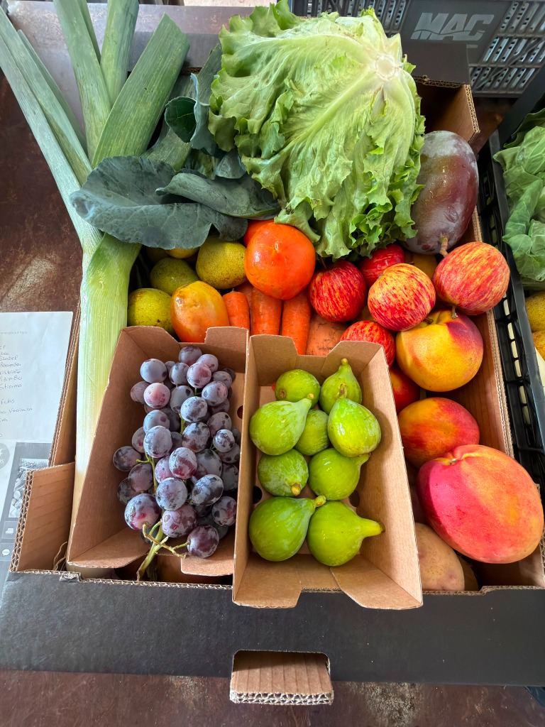 Cabaz Horto Galeão Uvas e Figos